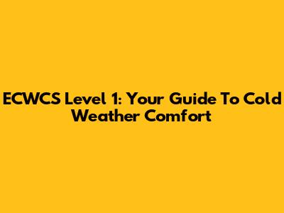 ECWCS Level 1: Your Guide To Cold Weather Comfort