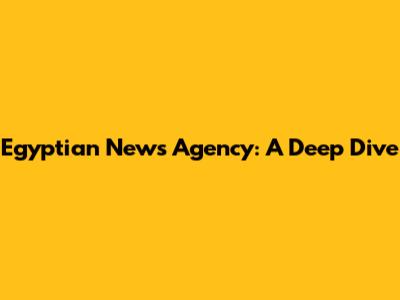 Egyptian News Agency: A Deep Dive