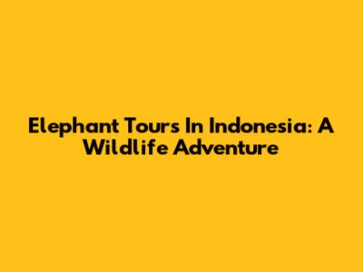 Elephant Tours In Indonesia: A Wildlife Adventure