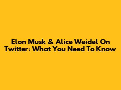 Elon Musk & Alice Weidel On Twitter: What You Need To Know