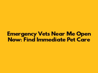 Emergency Vets Near Me Open Now: Find Immediate Pet Care