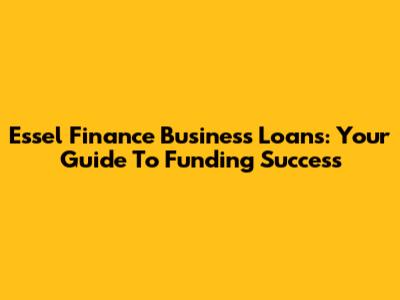 Essel Finance Business Loans: Your Guide To Funding Success