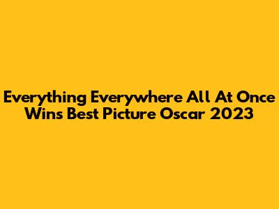 Everything Everywhere All At Once Wins Best Picture Oscar 2023