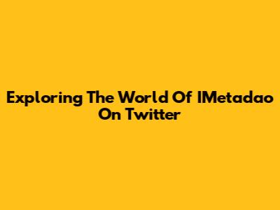 Exploring The World Of IMetadao On Twitter