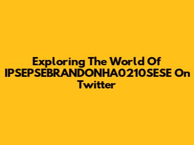 Exploring The World Of IPSEPSEBRANDONHA0210SESE On Twitter