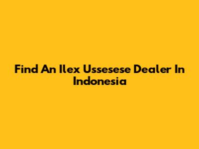 Find An Ilex Ussesese Dealer In Indonesia
