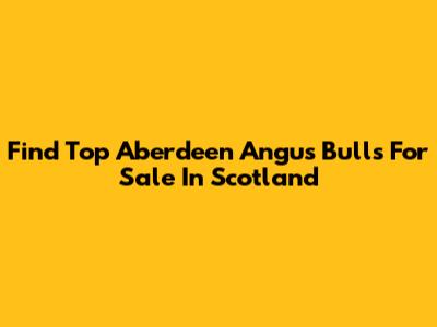 Find Top Aberdeen Angus Bulls For Sale In Scotland