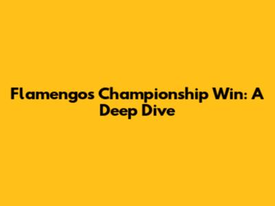 Flamengo's Championship Win: A Deep Dive