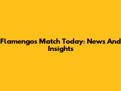 Flamengo's Match Today: News And Insights