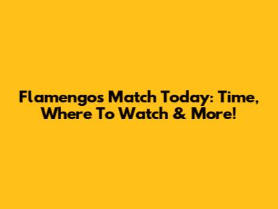 Flamengo's Match Today: Time, Where To Watch & More!