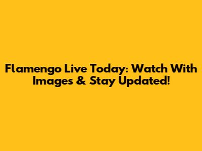 Flamengo Live Today: Watch With Images & Stay Updated!