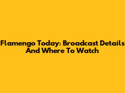 Flamengo Today: Broadcast Details And Where To Watch