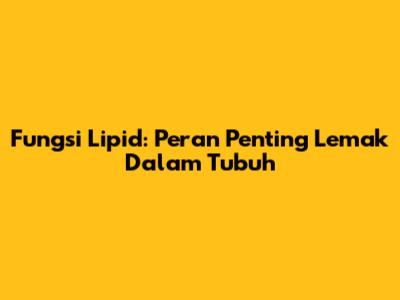 Fungsi Lipid: Peran Penting Lemak Dalam Tubuh