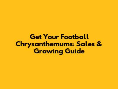 Get Your Football Chrysanthemums: Sales & Growing Guide