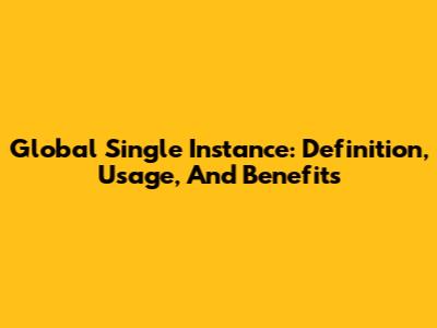 Global Single Instance: Definition, Usage, And Benefits