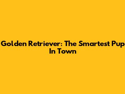 Golden Retriever: The Smartest Pup In Town