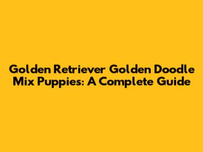Golden Retriever Golden Doodle Mix Puppies: A Complete Guide