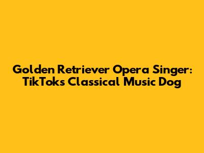 Golden Retriever Opera Singer: TikTok's Classical Music Dog