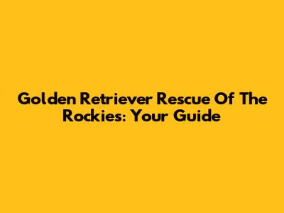 Golden Retriever Rescue Of The Rockies: Your Guide