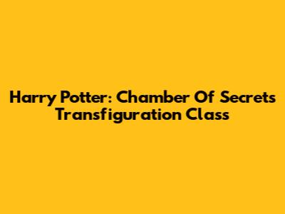 Harry Potter: Chamber Of Secrets Transfiguration Class