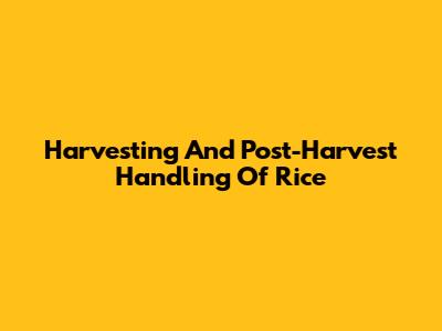 Harvesting And Post-Harvest Handling Of Rice