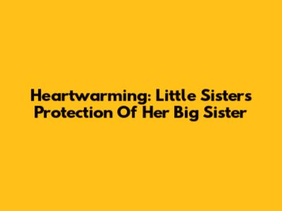 Heartwarming: Little Sister's Protection Of Her Big Sister