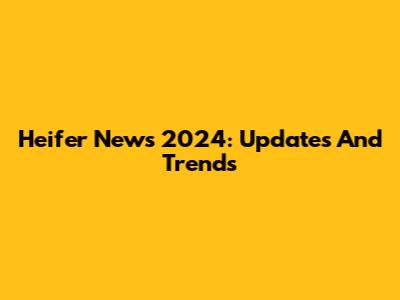 Heifer News 2024: Updates And Trends