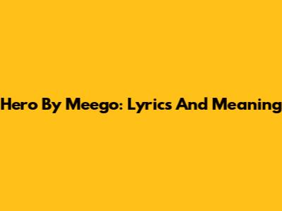 Hero By Meego: Lyrics And Meaning