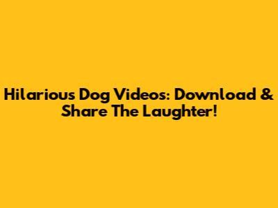 Hilarious Dog Videos: Download & Share The Laughter!
