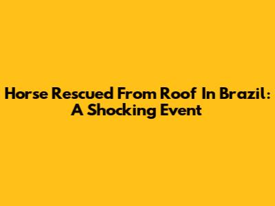 Horse Rescued From Roof In Brazil: A Shocking Event