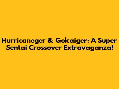Hurricaneger & Gokaiger: A Super Sentai Crossover Extravaganza!