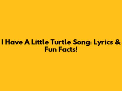 I Have A Little Turtle Song: Lyrics & Fun Facts!