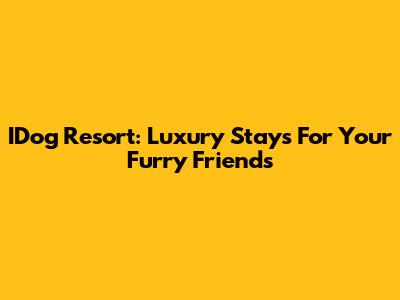 IDog Resort: Luxury Stays For Your Furry Friends