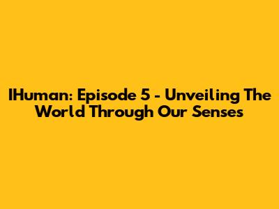 IHuman: Episode 5 - Unveiling The World Through Our Senses