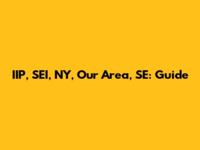 IIP, SEI, NY, Our Area, SE: Guide