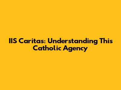 IIS Caritas: Understanding This Catholic Agency