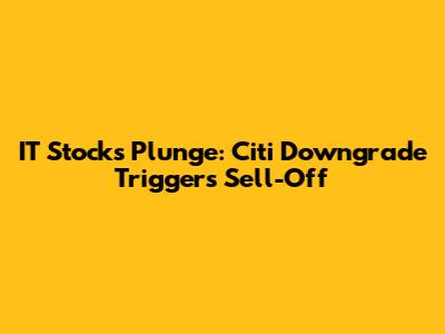 IT Stocks Plunge: Citi Downgrade Triggers Sell-Off