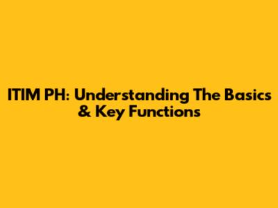 ITIM PH: Understanding The Basics & Key Functions