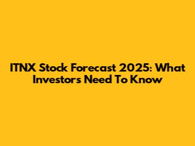 ITNX Stock Forecast 2025: What Investors Need To Know