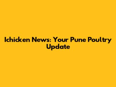 Ichicken News: Your Pune Poultry Update