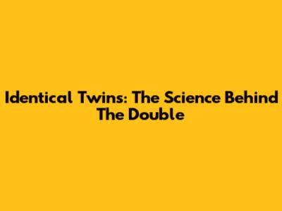 Identical Twins: The Science Behind The Double