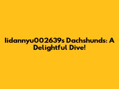 Iidannyu002639's Dachshunds: A Delightful Dive!