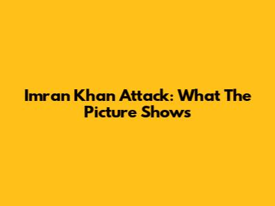 Imran Khan Attack: What The Picture Shows