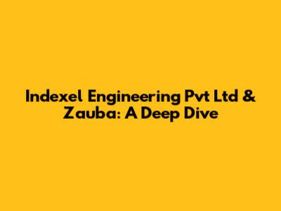 Indexel Engineering Pvt Ltd & Zauba: A Deep Dive