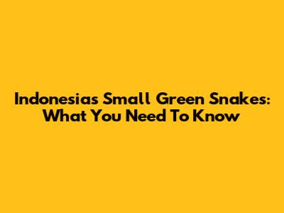 Indonesia's Small Green Snakes: What You Need To Know