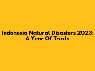 Indonesia Natural Disasters 2023: A Year Of Trials