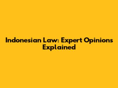 Indonesian Law: Expert Opinions Explained