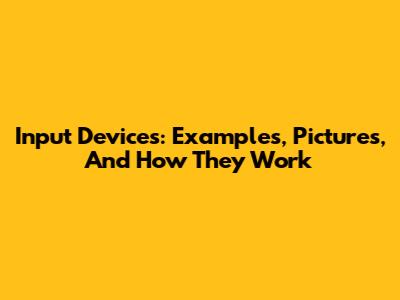 Input Devices: Examples, Pictures, And How They Work