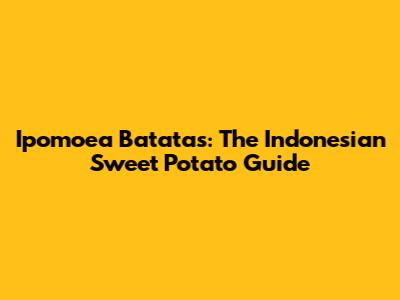 Ipomoea Batatas: The Indonesian Sweet Potato Guide
