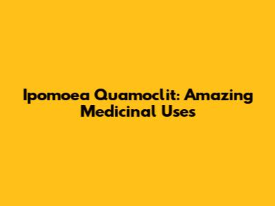 Ipomoea Quamoclit: Amazing Medicinal Uses
